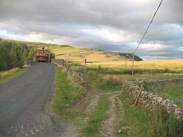 Exit Craik Forest - geograph.org.uk - 549072