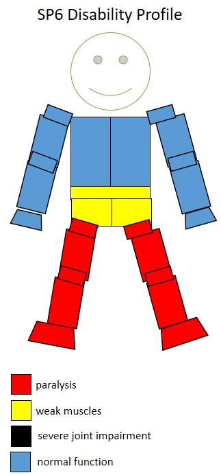 Functional profile of a wheelchair sportsperson in the F6 class. F6 SP6 disability sports profile.png