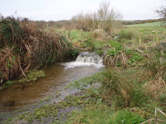 File:Streamer português foto.jpg - Wikimedia Commons