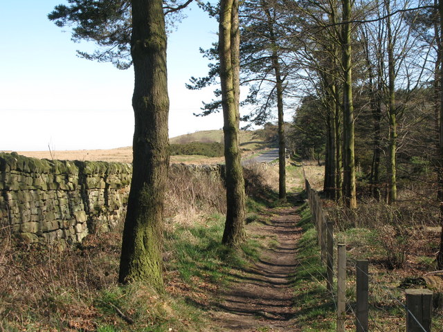 File:Hadrian's Wall Path east of Milecastle 24 (3) - geograph.org.uk - 1308558.jpg