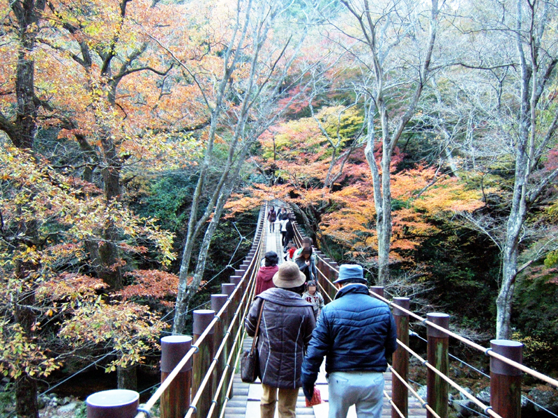 花園花貫県立自然公園 Wikipedia