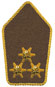 Schulterstück (Pioniertruppe)