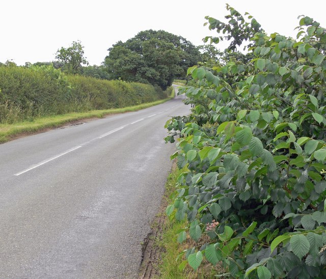 File:Lawn Lane near Old Dalby - geograph.org.uk - 906793.jpg