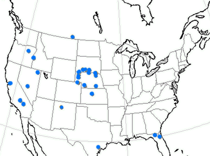 File:Leptocyon range map.png