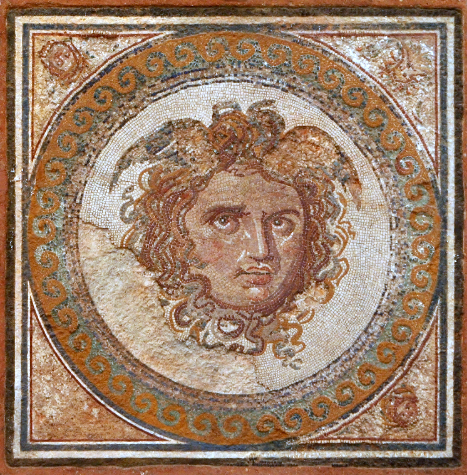 Medusa - Wikipedia