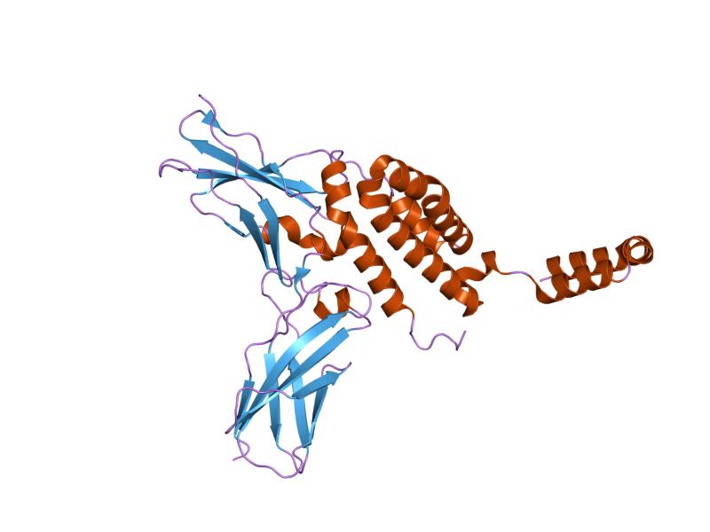 File:PDB 1y6k EBI.jpg