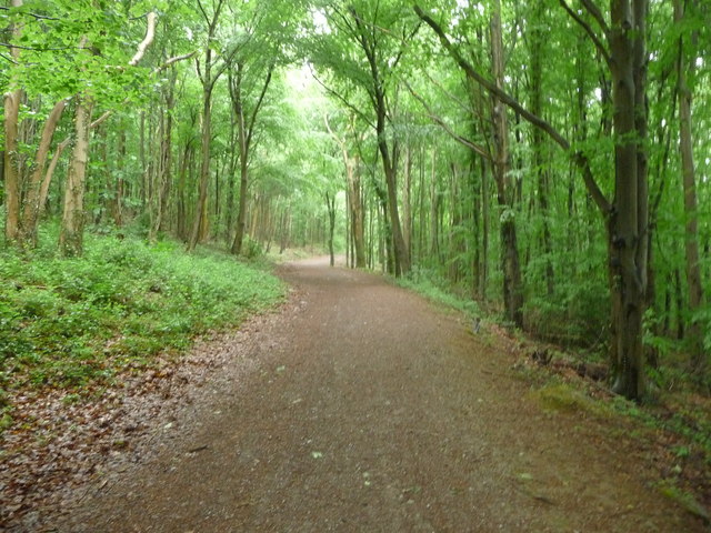 Part of the Taff Trail near Castell Coch - geograph.org.uk - 2975238