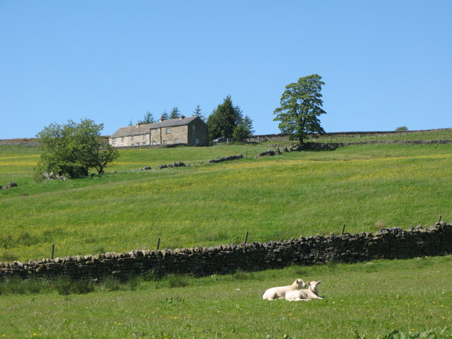 File:Pastures below The Highlands - geograph.org.uk - 1418721.jpg