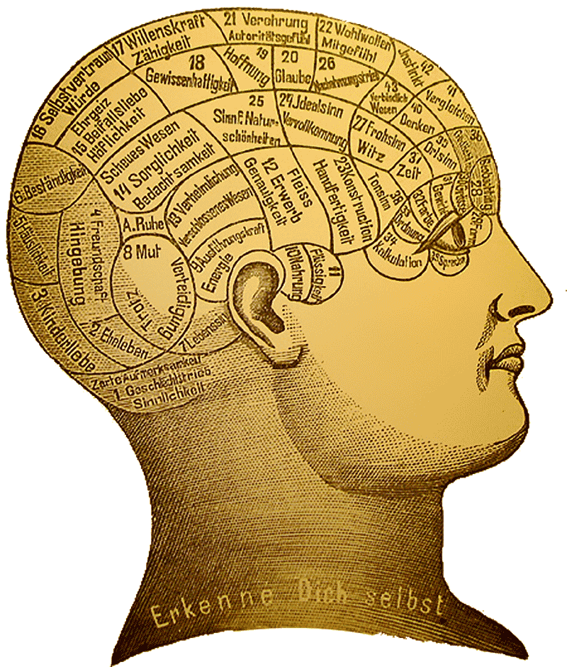 Ум это. Френология ф Галль. Френология Франца Йозефа Галля. Френологическая карта Галля. Френология Френсис Галь.