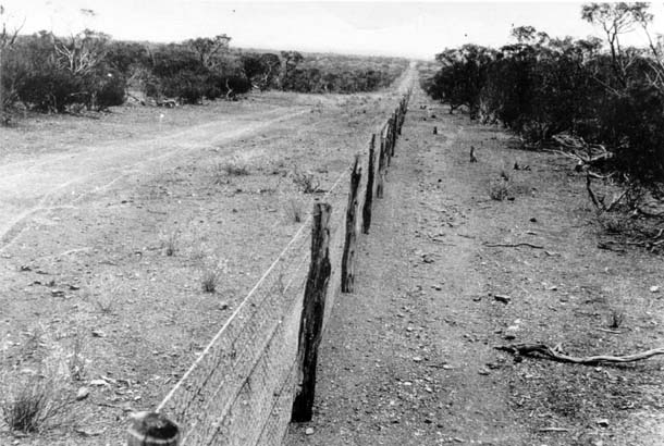 Symbolism In The Rabbit Proof Fence