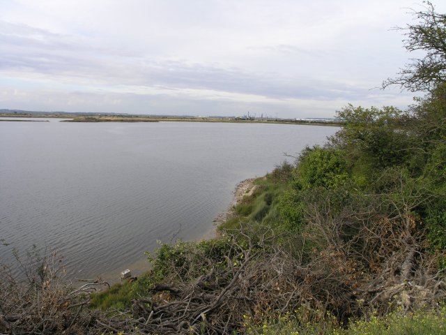 Radar Pool, near Cliffe - geograph.org.uk - 44922