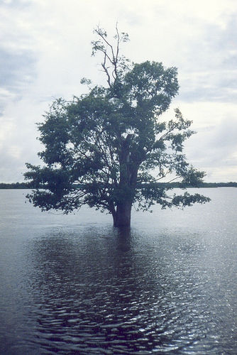 File:Rio araguaia.jpg