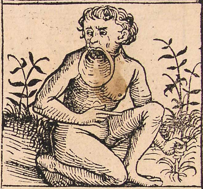 Woodcut image of a naked man kneeling in a garden with a mouth shaped like a lopsided funnel