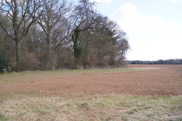 File:South corner of The Groves - geograph.org.uk - 3387234.jpg