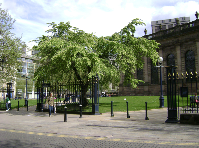 File:St Philip's Cathedral churchyard - geograph.org.uk - 1604362.jpg