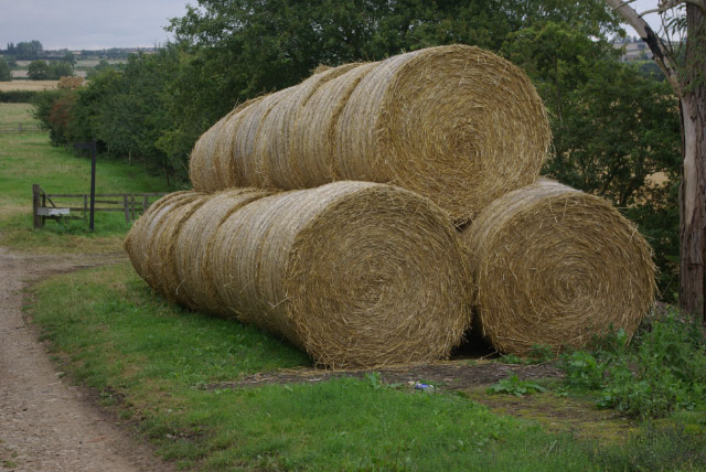 File:Straw Bales near Yardley Gobion - geograph.org.uk - 533634.jpg