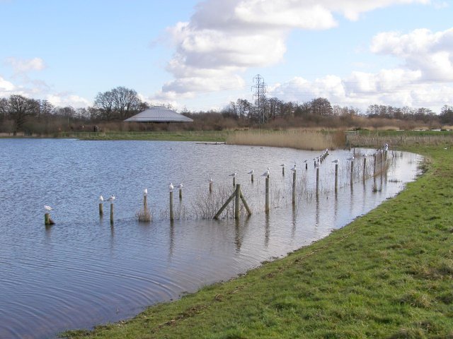 Testwood Lake, swollen with water - geograph.org.uk - 344241