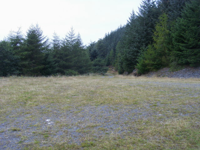 Thornthwaite Forest - geograph.org.uk - 1511822