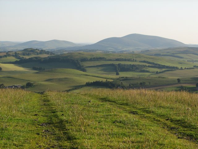 File:View to Tinto - geograph.org.uk - 202160.jpg