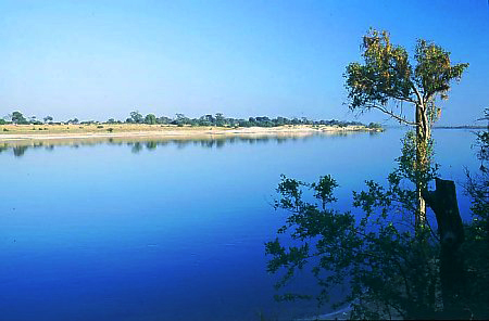 File:Zambezi River near Zambezi Town.jpg