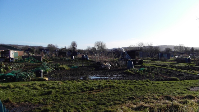 File:Asquith Road Allotments - geograph.org.uk - 1124526.jpg