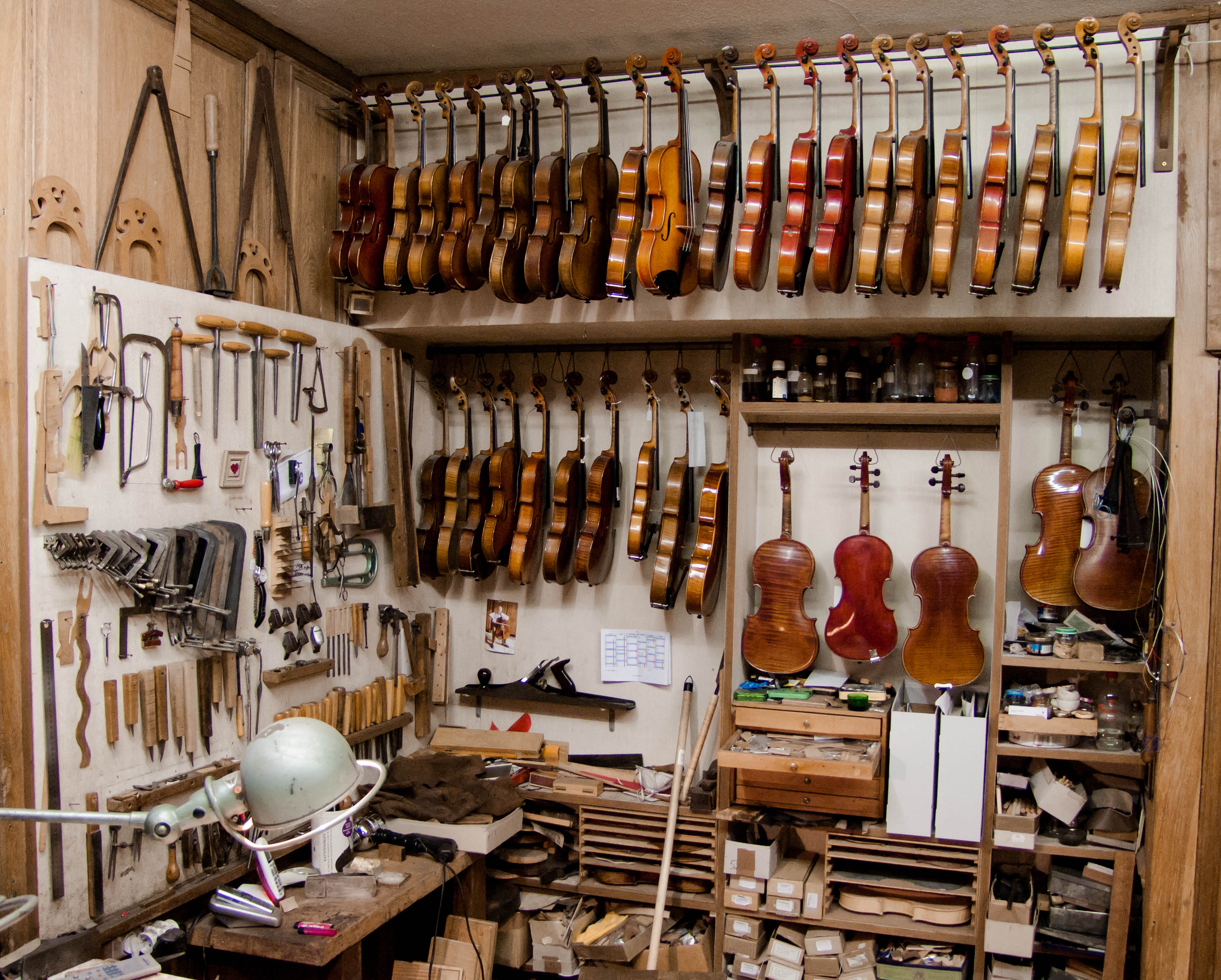 The components of violin varnish, Focus