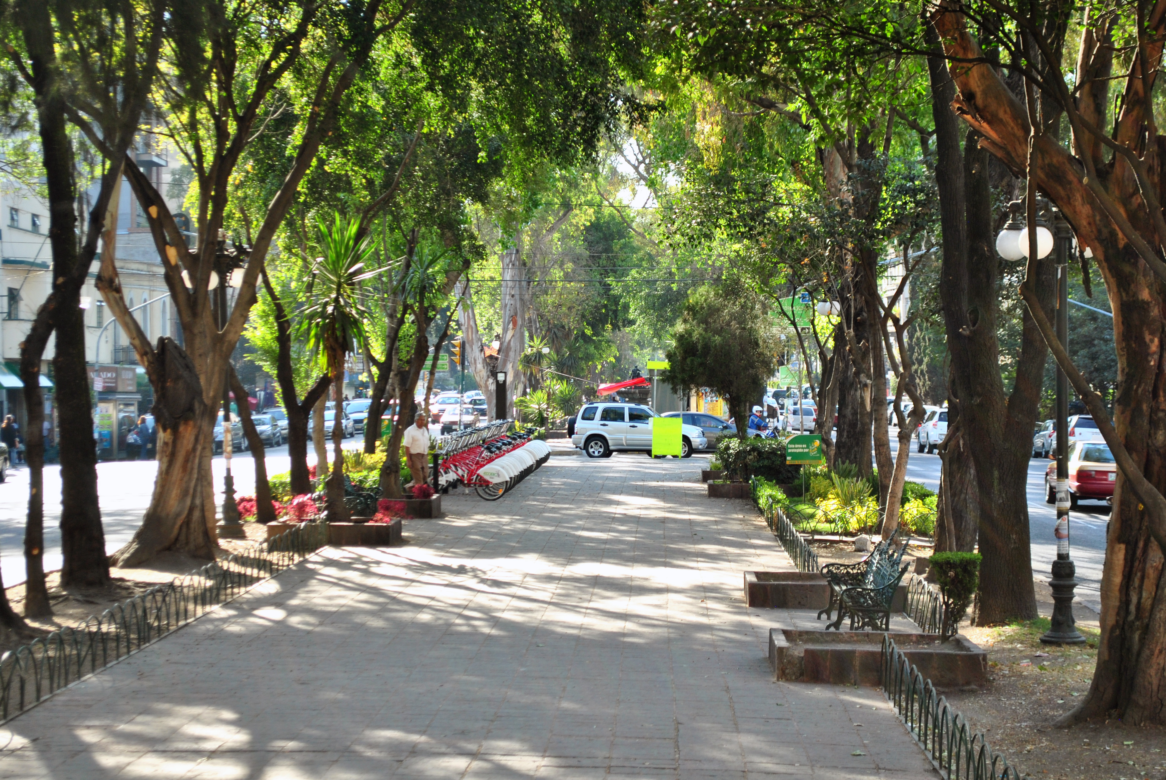 Al que no le guste el calor, que no se meta a la cocina - Página 13 Avenida_%C3%81lvaro_Obreg%C3%B3n%2C_Colonia_Roma%2C_Ciudad_de_M%C3%A9xico_2.