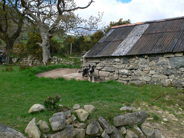 File:Barn and sheepdog at Lleiniau Hirion - geograph.org.uk - 1310442.jpg