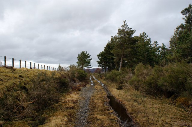 File:Dava Way trail following old Highland Railway line - geograph.org.uk - 1554303.jpg