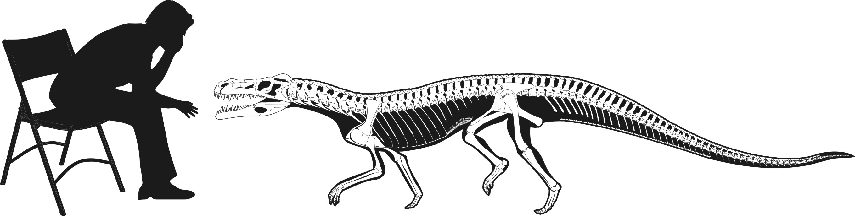 Decuriasuchus2.jpg