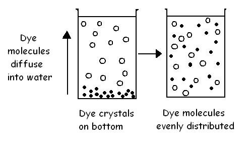 plasma diagram