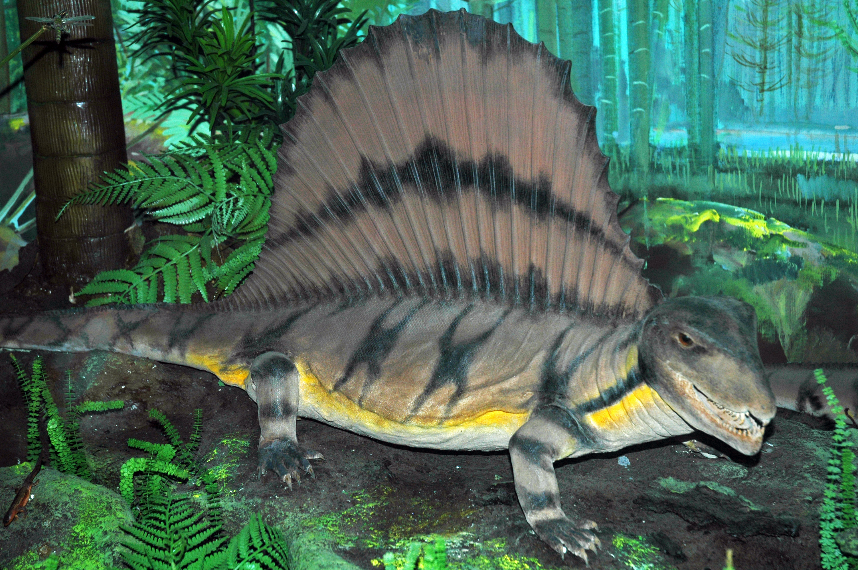 File Diorama Of A Permian Forest Floor Dimetrodon 1 43884793680