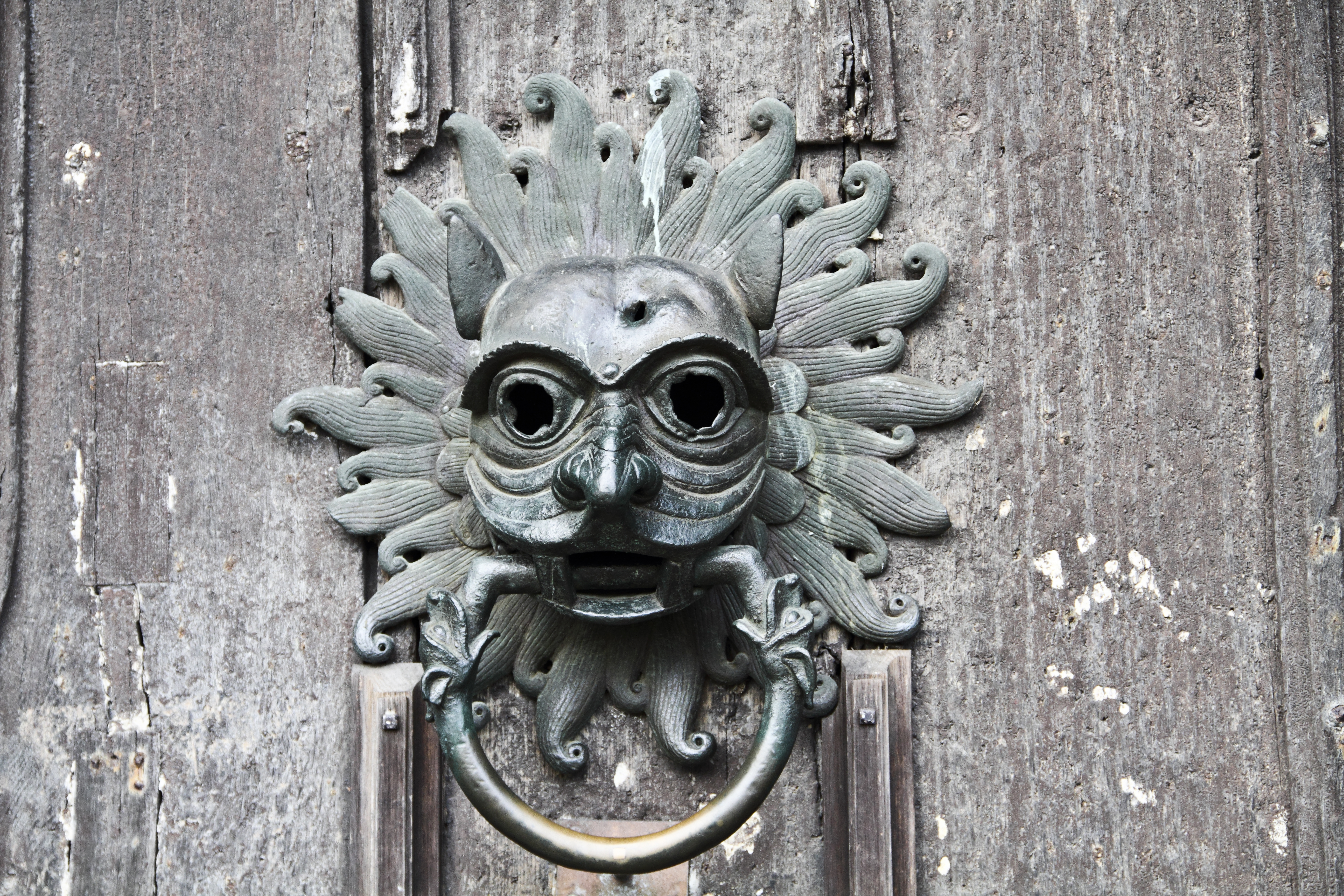 Griffin door knocker, Trento Cathedral, en.wikipedia.org/wi…