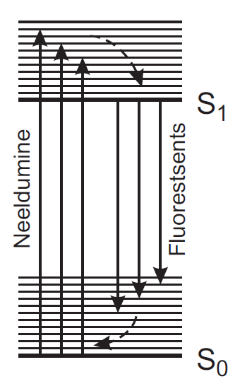 File:Energiadiagramm.png