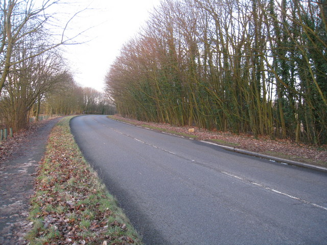 File:Farleigh Road and path - geograph.org.uk - 1714002.jpg