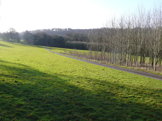 File:Farm track leading to Hazel Farm - geograph.org.uk - 642621.jpg