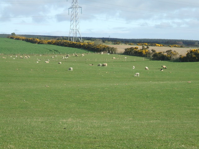 File:Farmland near Hatton - geograph.org.uk - 391281.jpg
