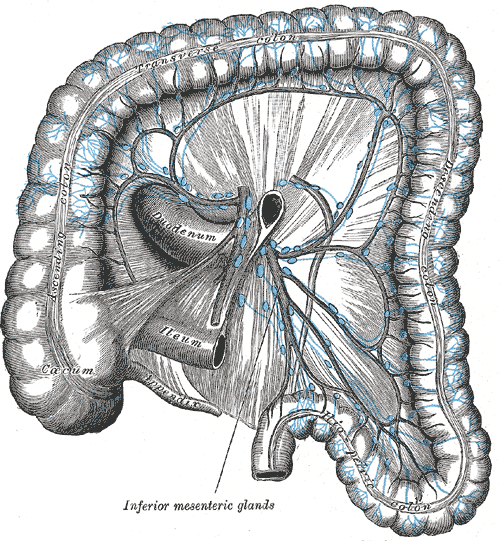 File:Gray617.png