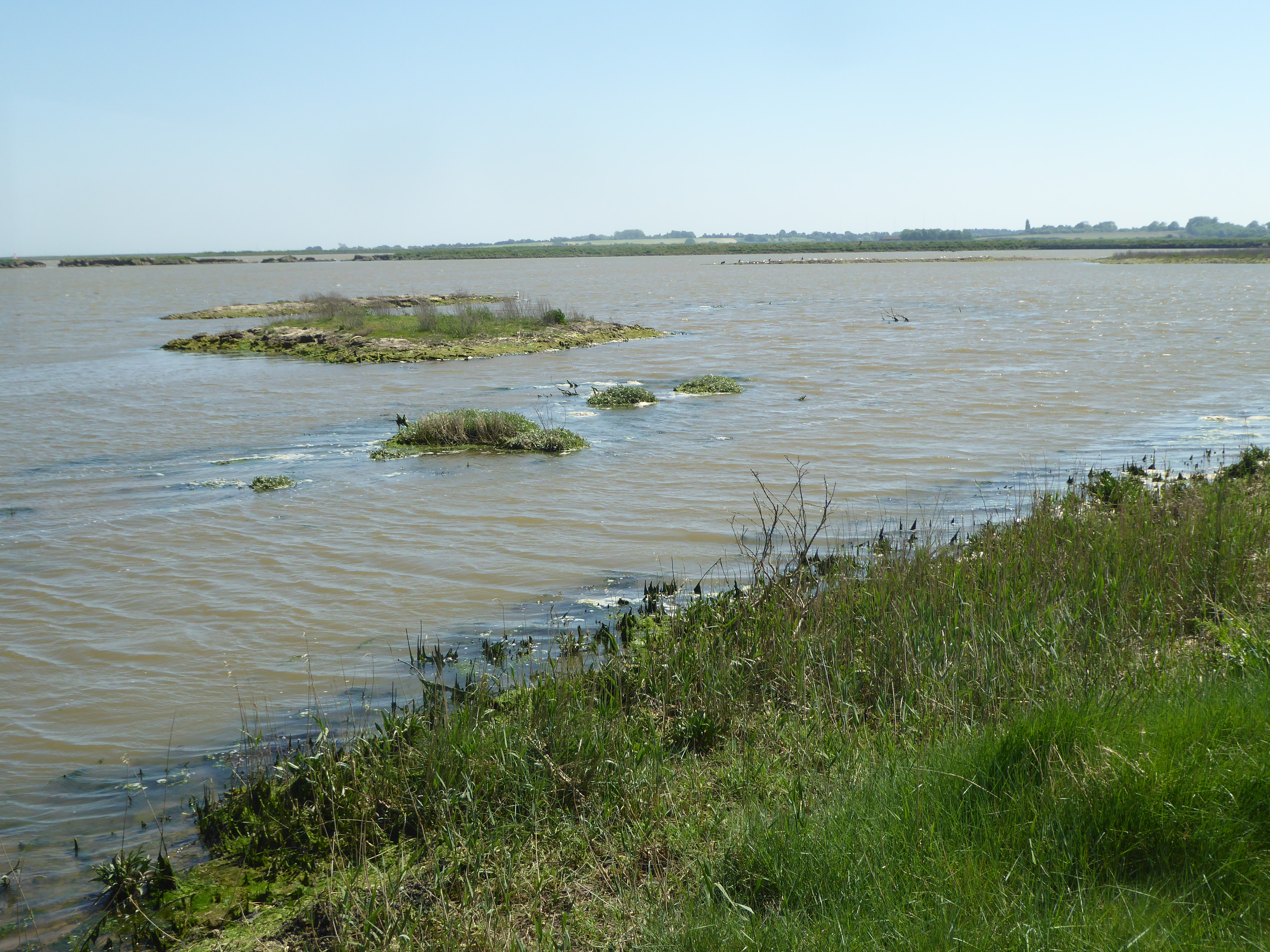 Suffolk Wildlife Trust