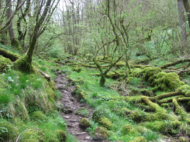 Monk's Dale