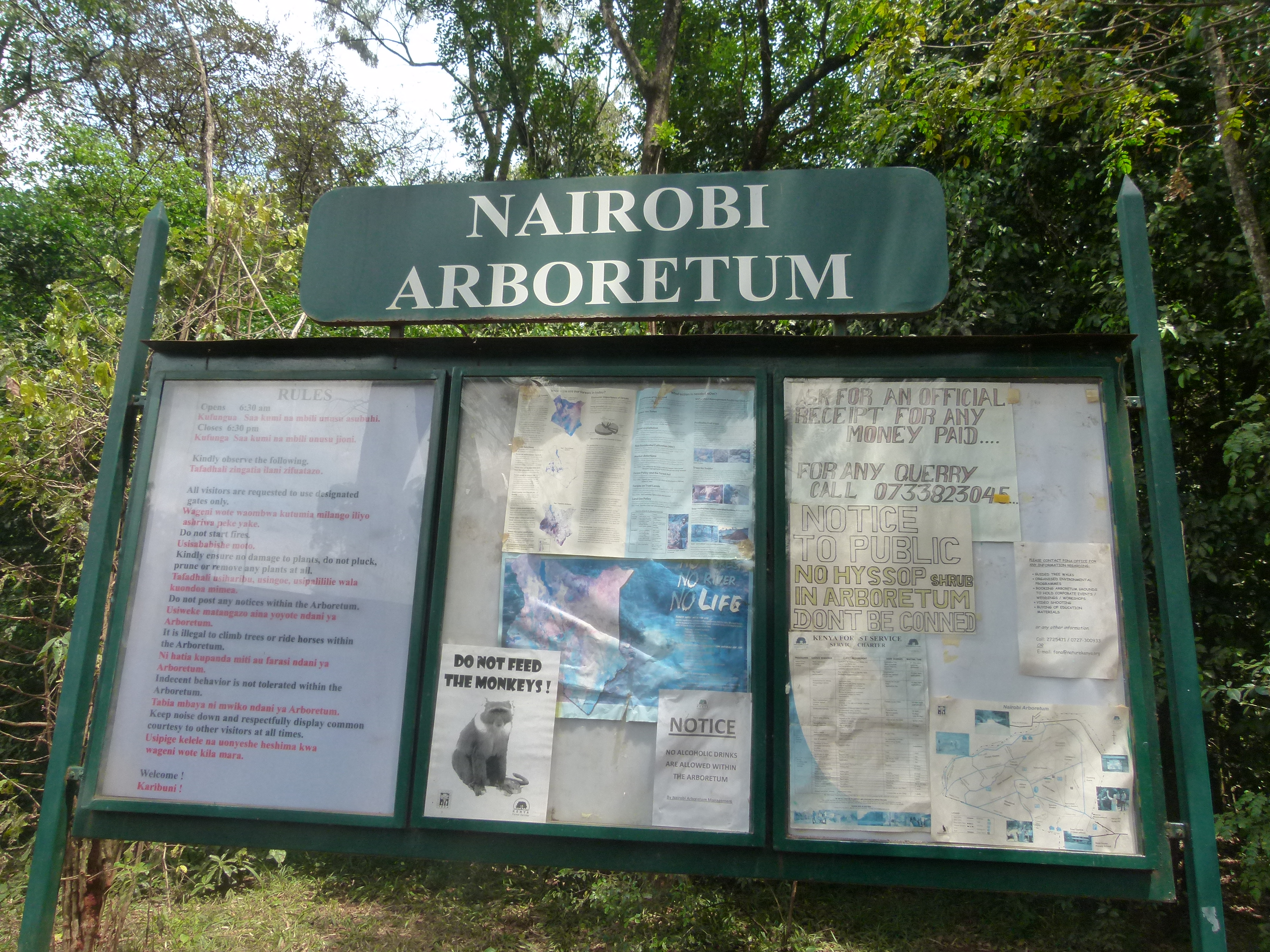 Image result for Nairobi Arboretum