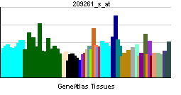 V-erbA-related gene