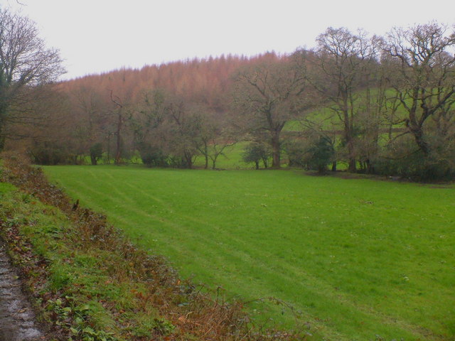 File:Pasture and Woods - geograph.org.uk - 337328.jpg