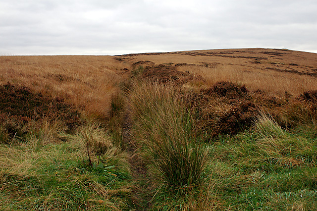 File:Pickup Bank Height - geograph.org.uk - 612891.jpg