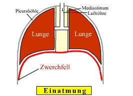 Fonctionnement du diaphragme