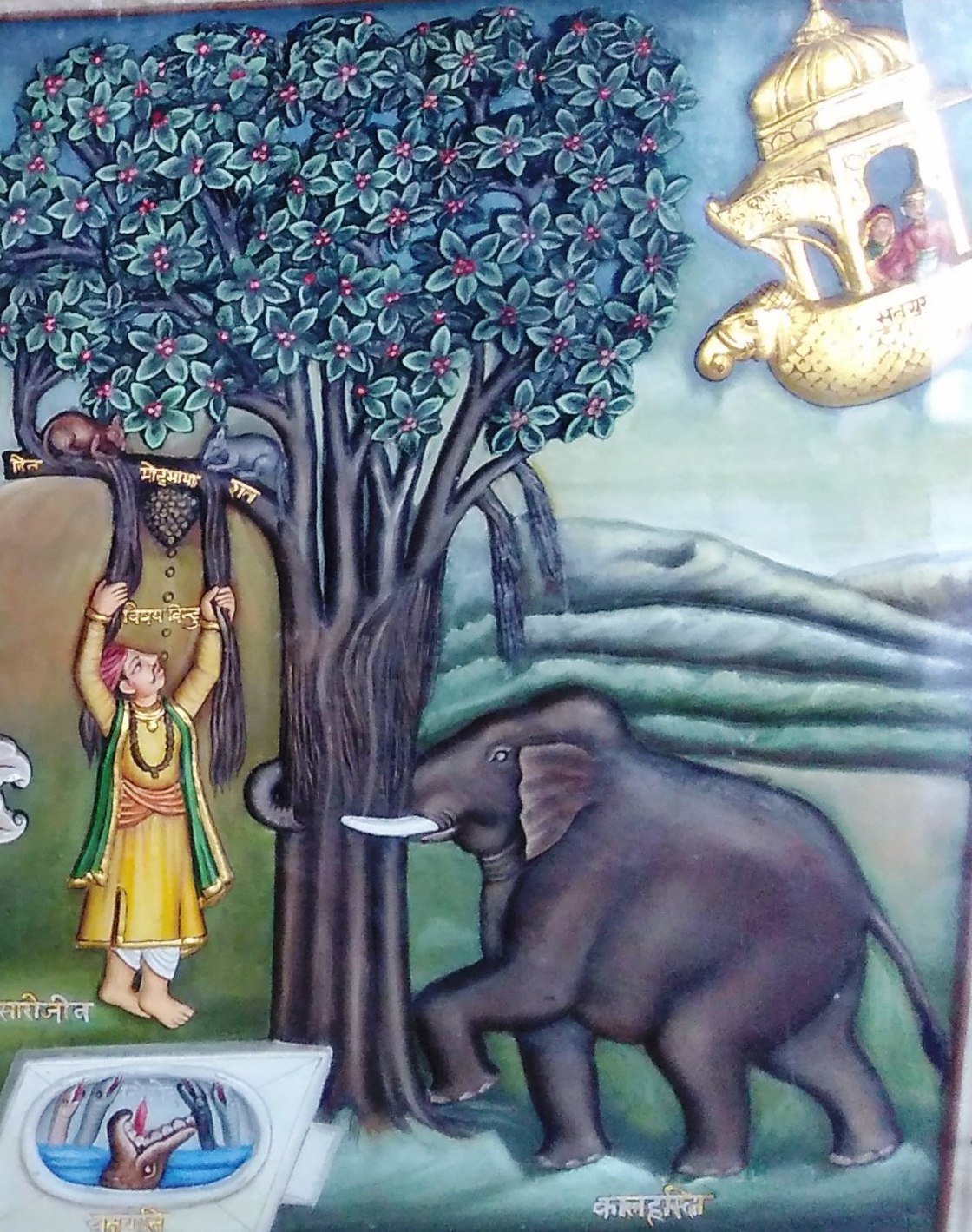 ''Saṃsāra'' (the cycle of rebirth)