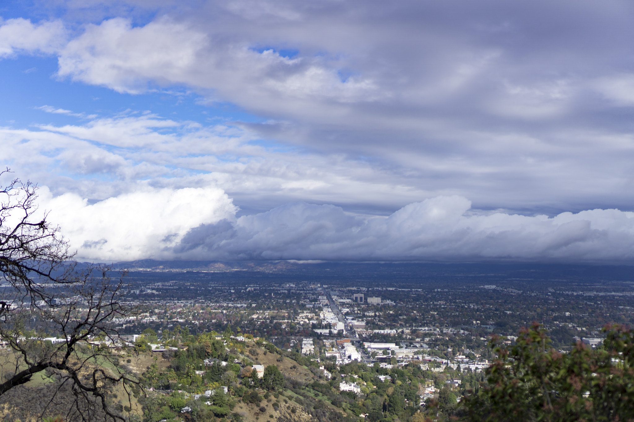 San fernando valley back page