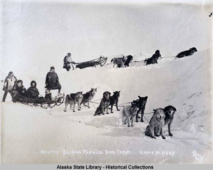 File:Scotty Allans famous dog team Nome Alaska.jpg