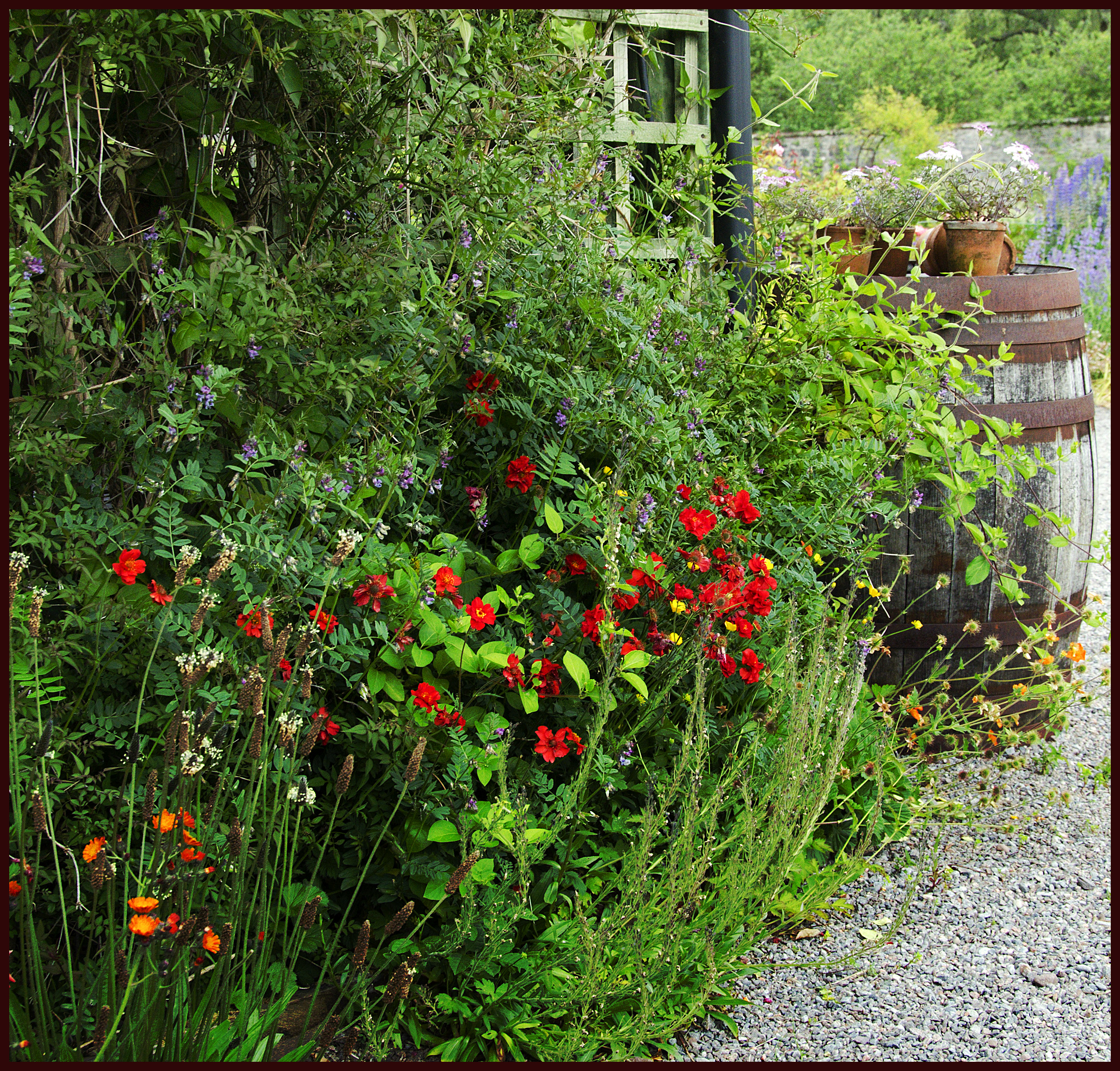 File:The Walled Garden, 'Potting-shed' restaurant 