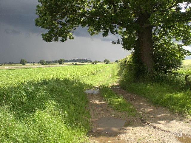 File:Track running south near Ellis Farm - geograph.org.uk - 477936.jpg